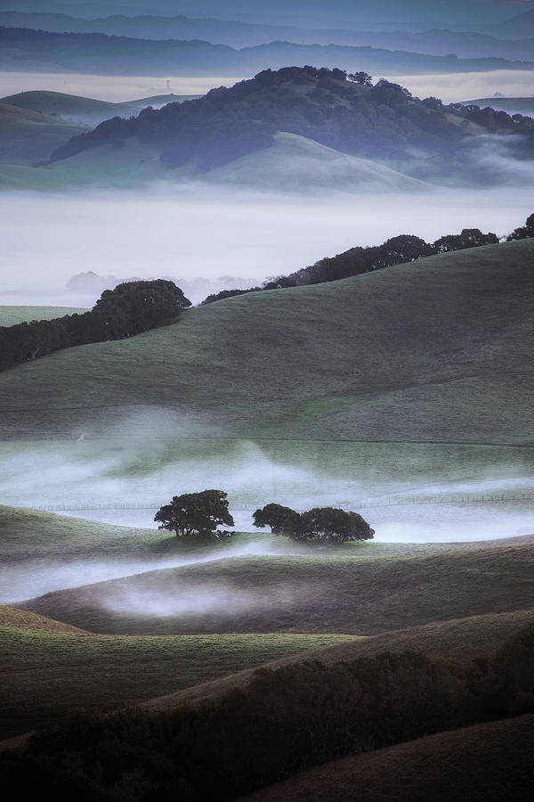 Winter Country, Sonoma Photograph by Vincent James