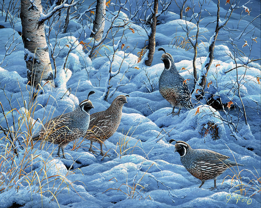Bird Painting - Winter Covey by Jeff Tift