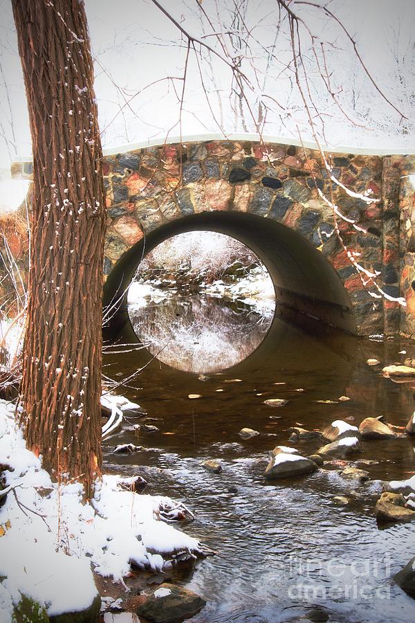 Winter Creek Globe Photograph by John Fabina