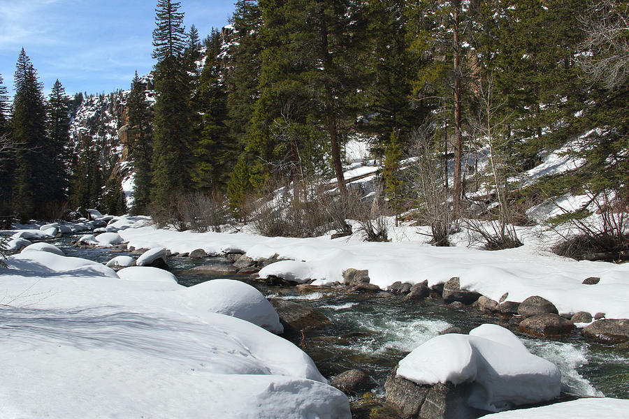 Winter Creek by Marie Leslie Winter Creek by Marie Leslie