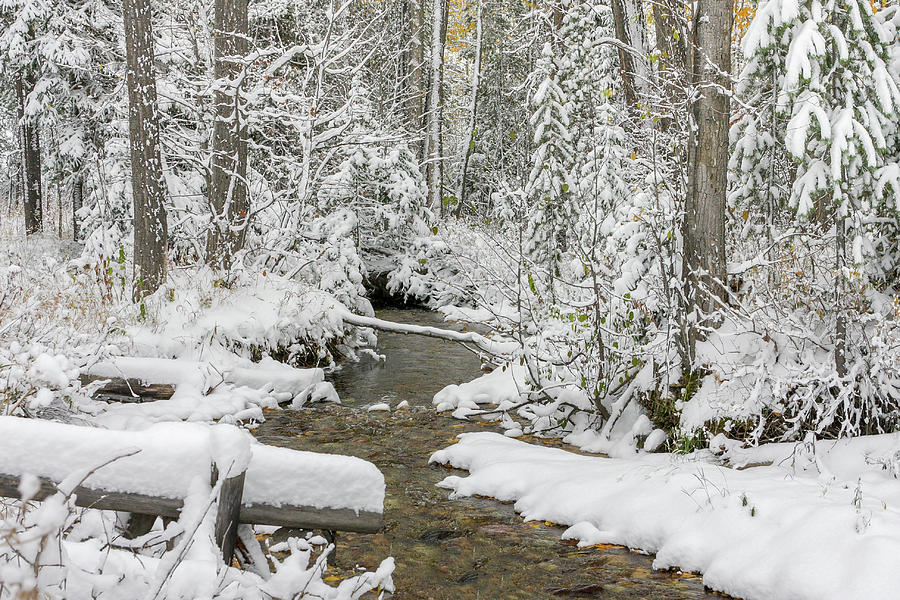 Winter Creek Photograph by Ronnie And Frances Howard