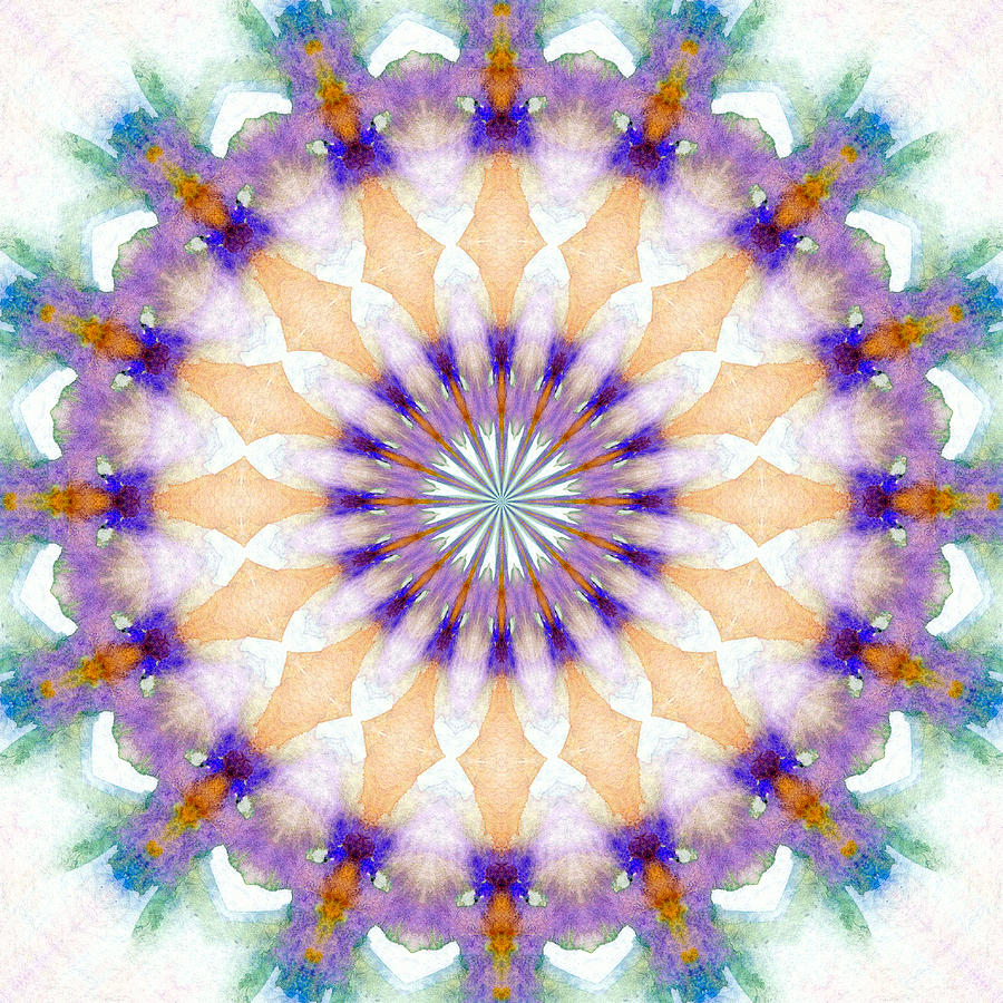 Winter Daisy by Elizabeth Lock Winter Daisy by Elizabeth Lock