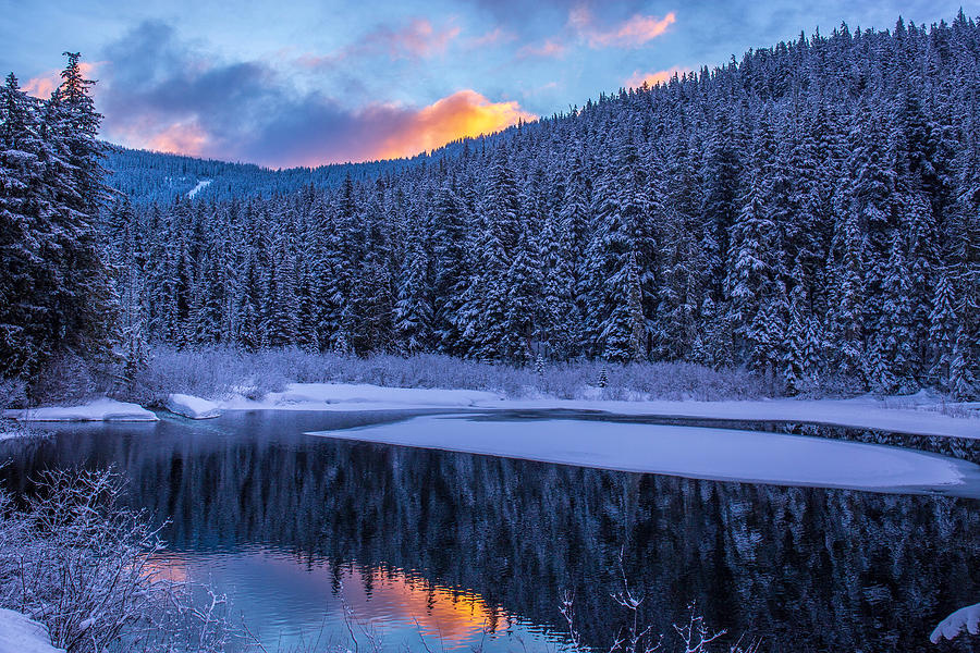Winter dawn reflections 2 Photograph by Lynn Hopwood