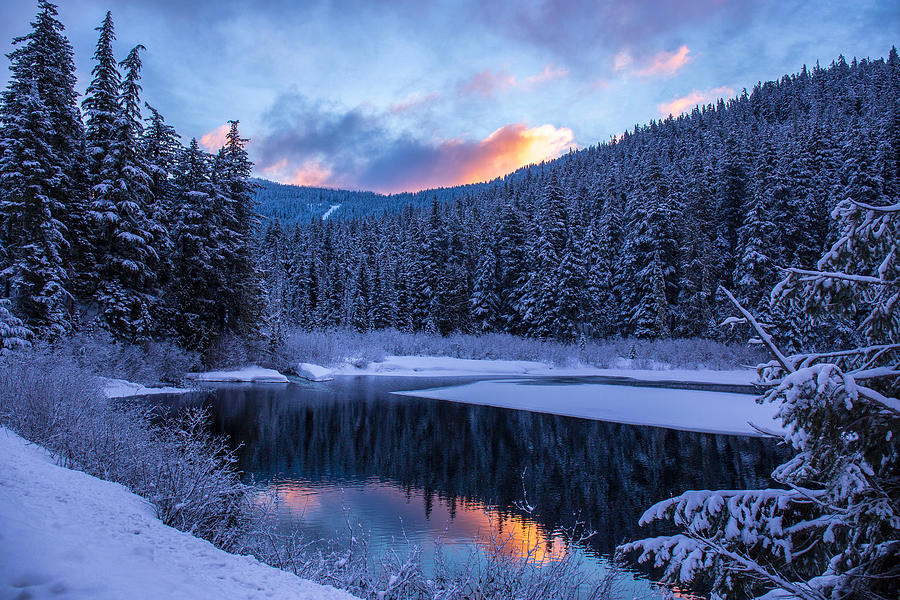 Winter dawn reflections Photograph by Lynn Hopwood