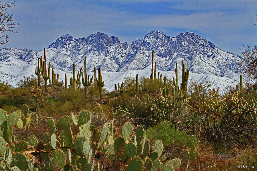 Winter Day At Four Peaks  Digital Art by Tom Janca