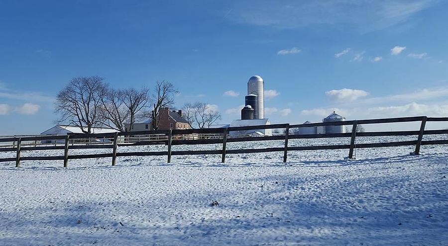Winter Day in Pennsylvania Photograph by Lindsey Floyd