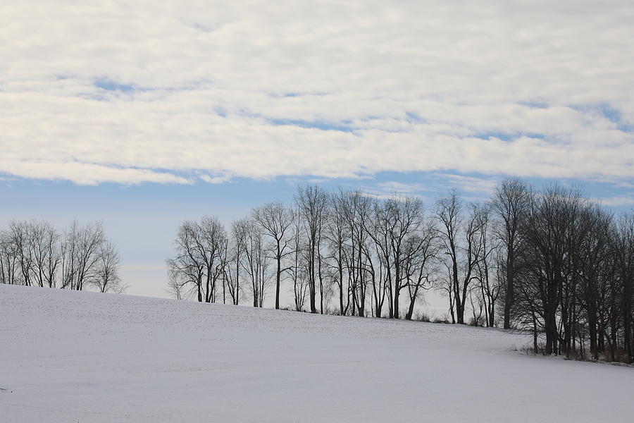 Winter Days Photograph by Scott Burd