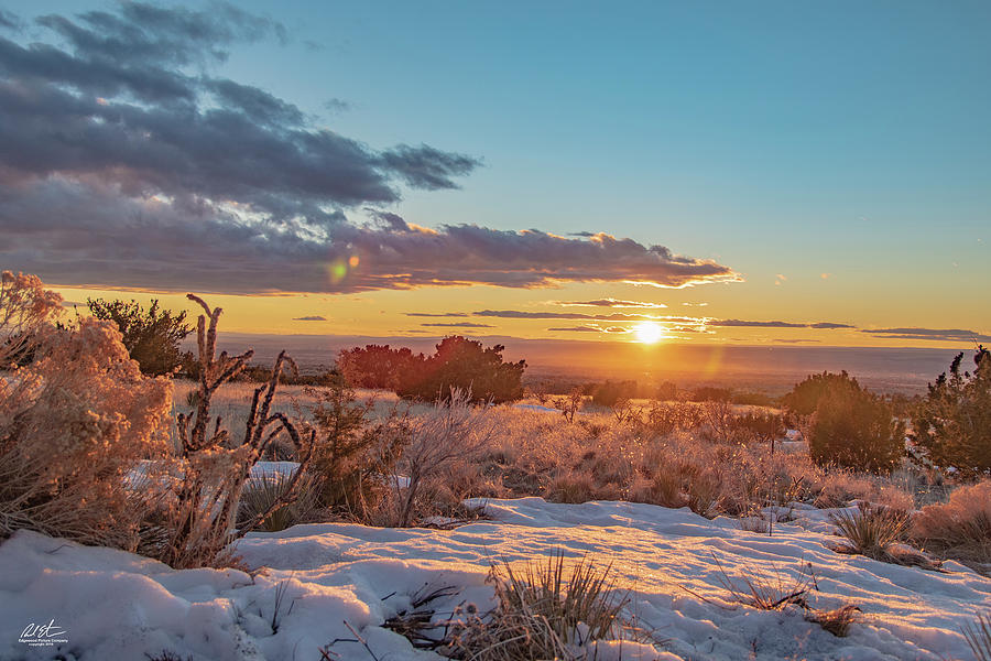 Winter Photograph - Winter Desert Sunset by Richard Estrada