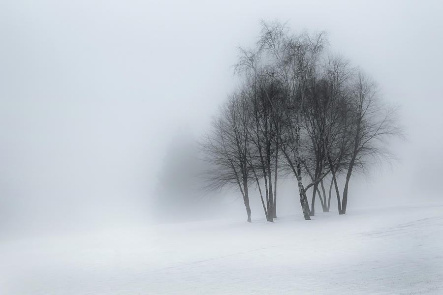 Winter Photograph - Winter Dream by Bill Wakeley