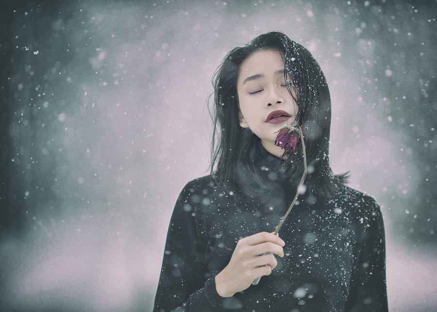 Winter Photograph - Winter Dream by Rob Li