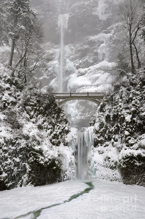 Multnomah Falls covered in Winter Snow and Ice Photograph by Tom Schwabel