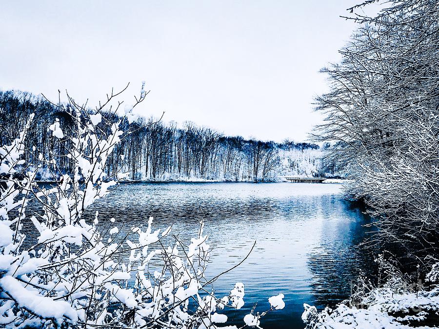 Winter Dream View Photograph by Michael Krek