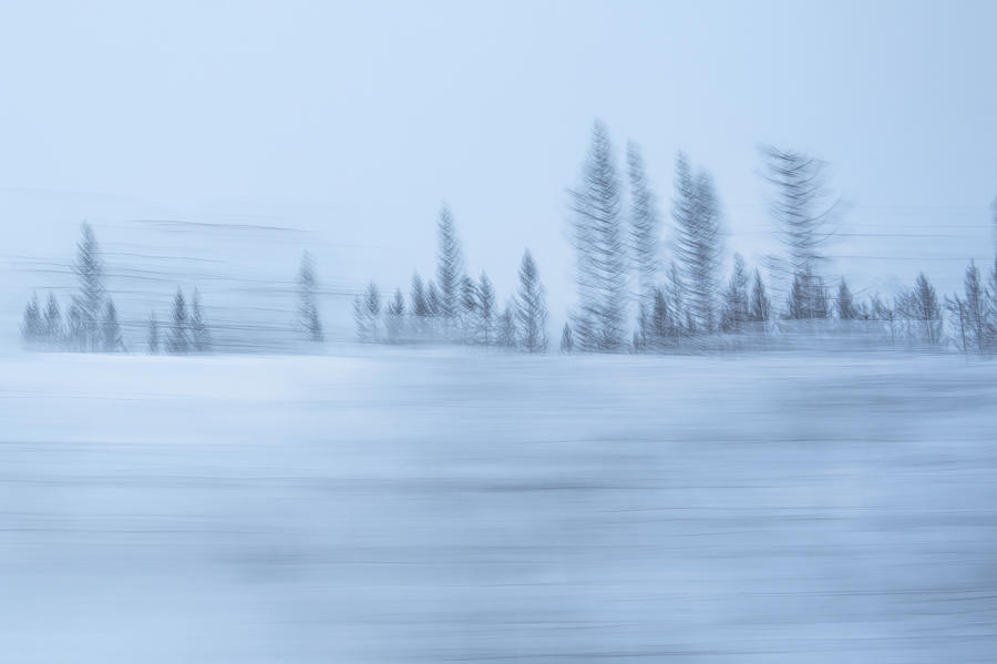 Winter Dreams Photograph by Ina Bouhuijzen