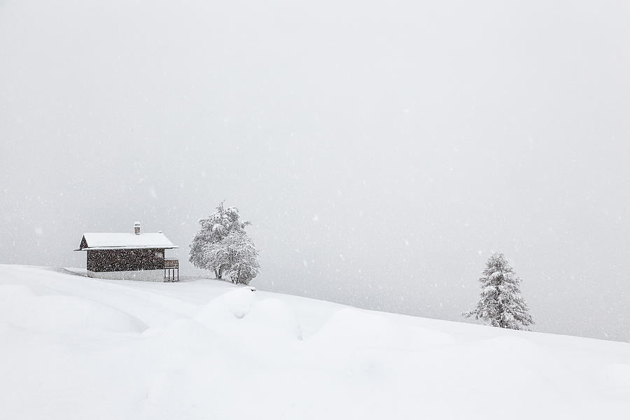 Winter Dreams Photograph by Uschi Hermann