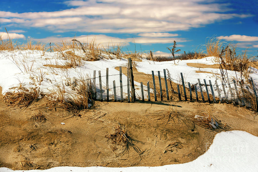 Winter Dune Sandy Hook Photograph by John Rizzuto