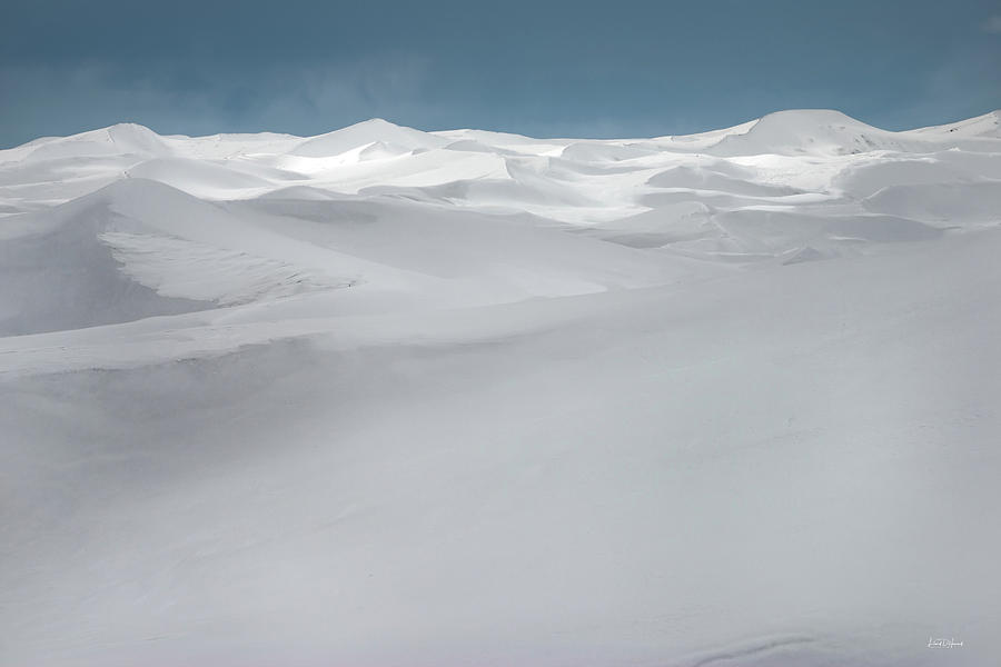 Winter Dunes Photograph by Leland D Howard