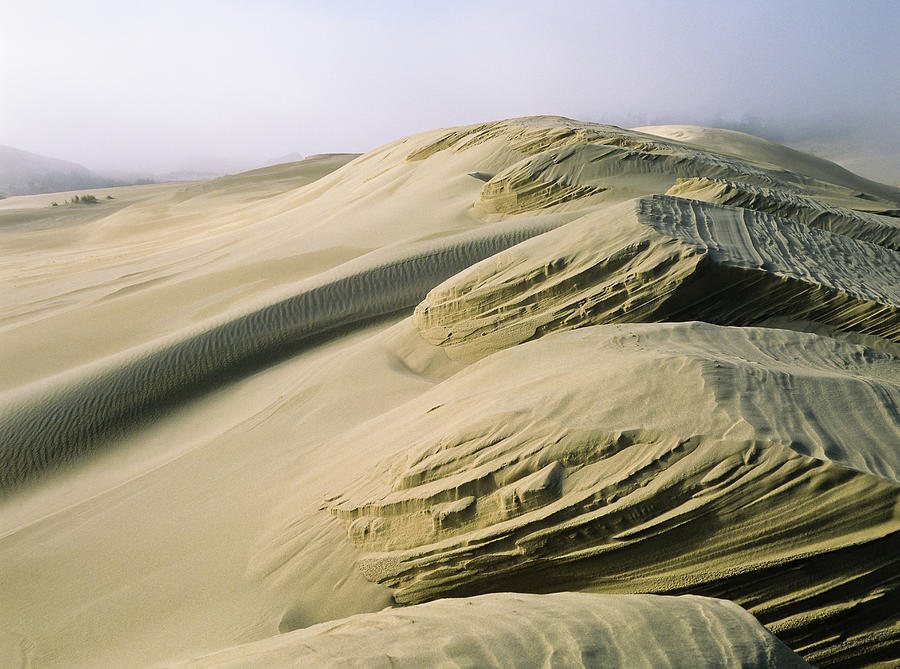 Winter Dunes Photograph by Robert Potts