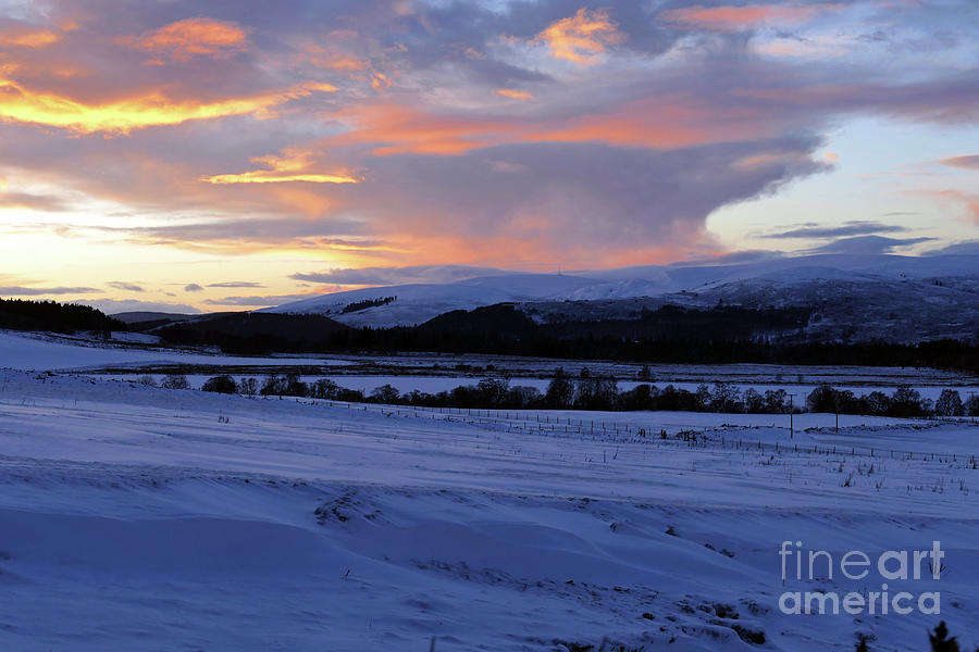 Winter Dusk at Advie - Speyside - Scotland Photograph by Phil Banks