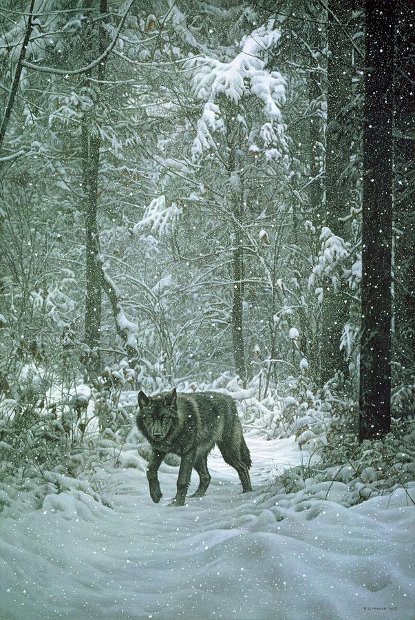 Winter Encounter - Wolf Painting By Ron Parker - Fine Art America