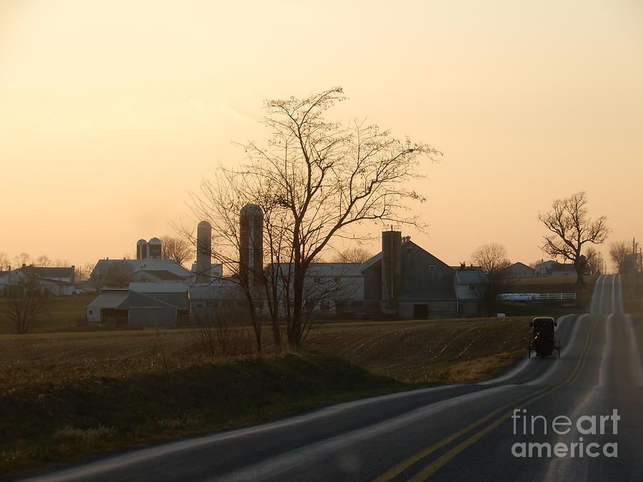 Winter Evening Buggy Ride in Amish Country Photograph by Christine Clark
