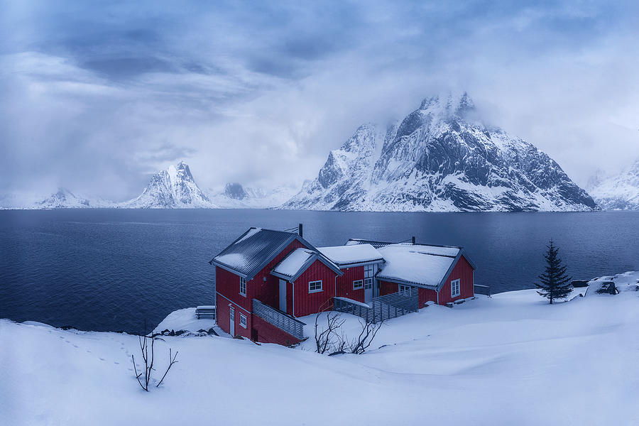 Winter Fairyland Photograph by Mei Xu