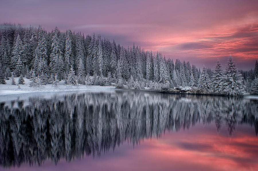 Winter Fairytale Photograph by Tais