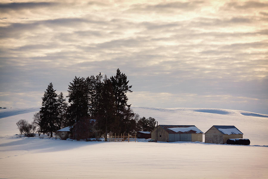Winter Farm at Golden Hour Photograph by Tatiana Travelways