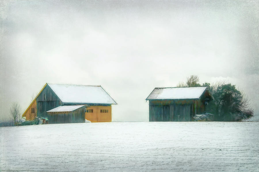 Winter Farm Buildings Digital Art by Terry Davis