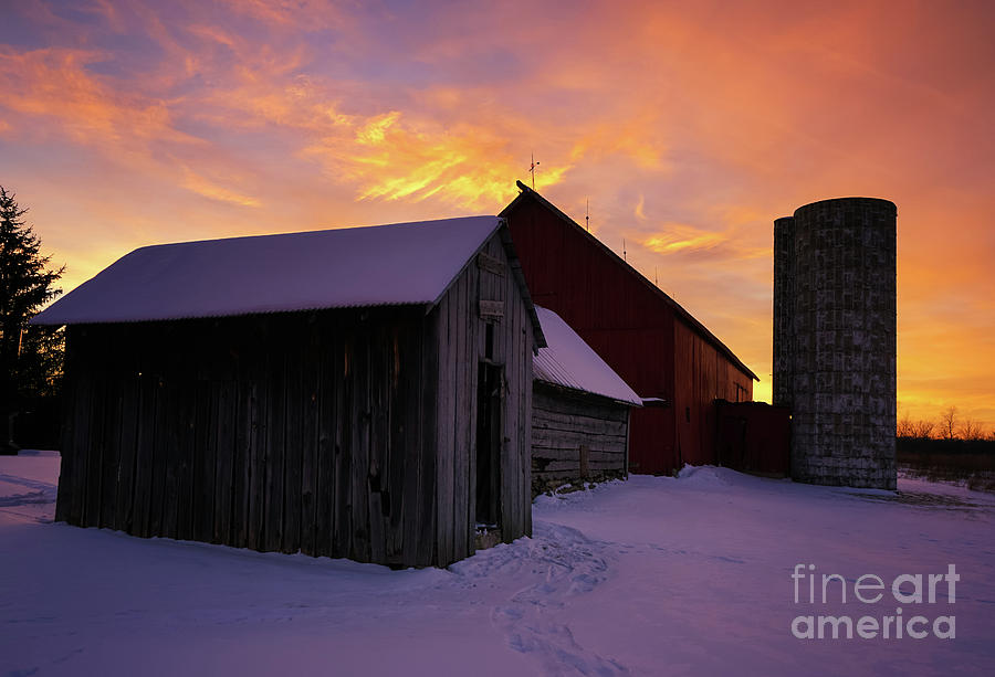 Winter Farm Chores Photograph By Rachel Cohen Fine Art America
