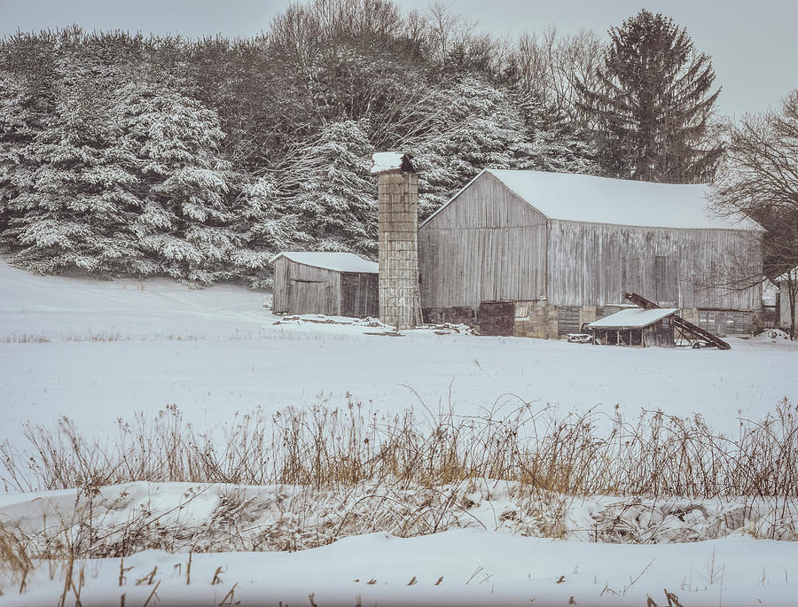 Winter Farm Photograph by Michelle Wittensoldner
