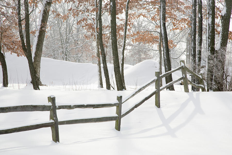 Tree Photograph - Winter Fence & Shadow, Farmington Hills, Michigan ?09 by Monte Nagler