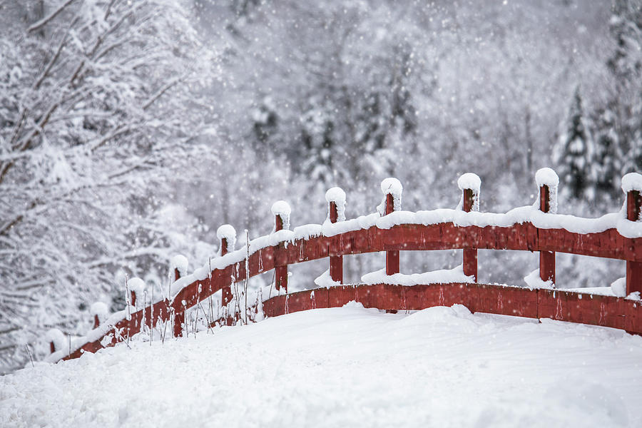 Winter Fence Photograph by White Mountain Images