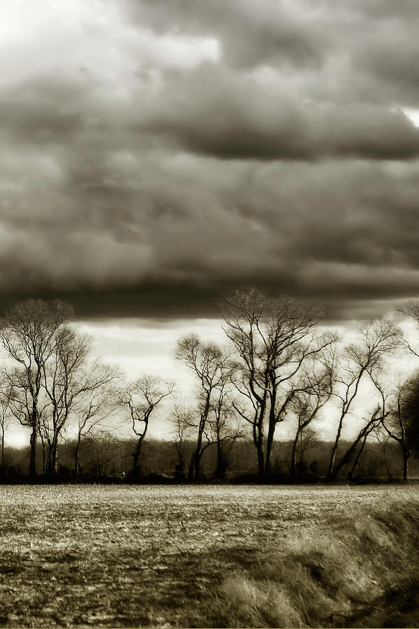 Winter Fields -5 Photograph by Alan Hausenflock