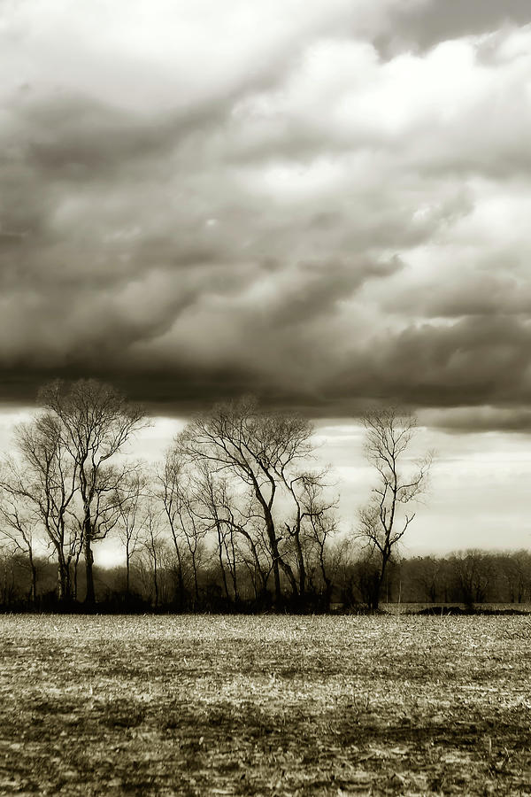 Winter Fields -6 Photograph by Alan Hausenflock