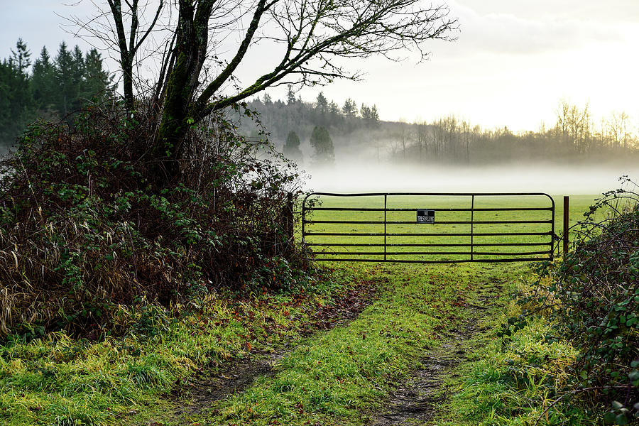 Winter Fog with Gate Photograph by Tom Cochran