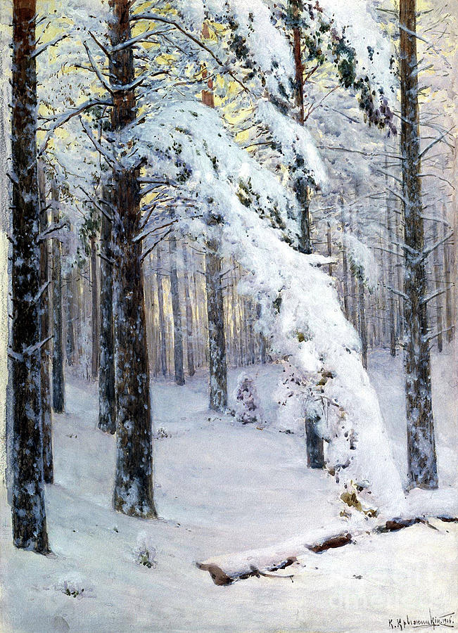 Winter Forest. Artist Kryzhitsky Drawing by Heritage Images