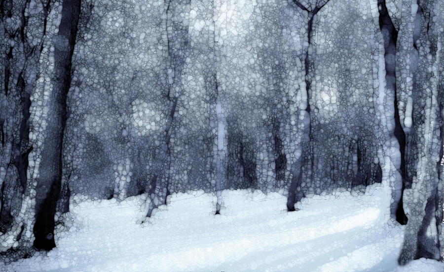Abstract Painting - Winter Forest Black And White by Jack Zulli