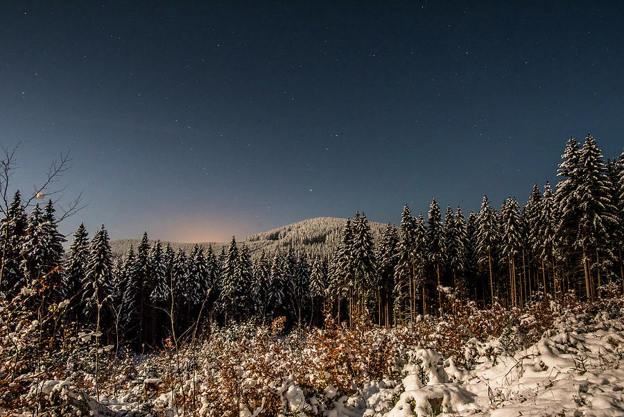 Winter Forest With Low Lying Winter Sun, Evening Mood, Brocken, Harz National Park, Winter Landscape, Saxony, Germany Photograph by Martin Siering Photography