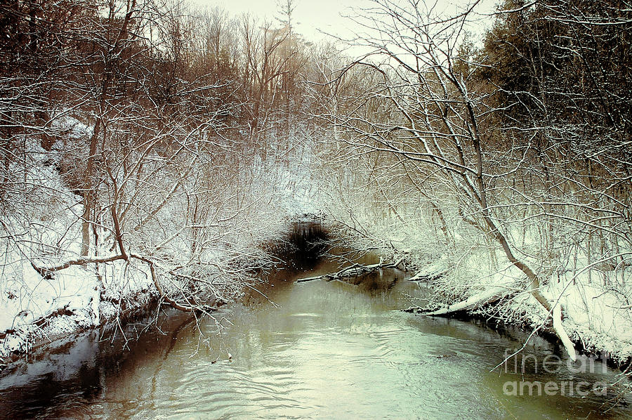  Winter Freeze Photograph by Elaine Manley