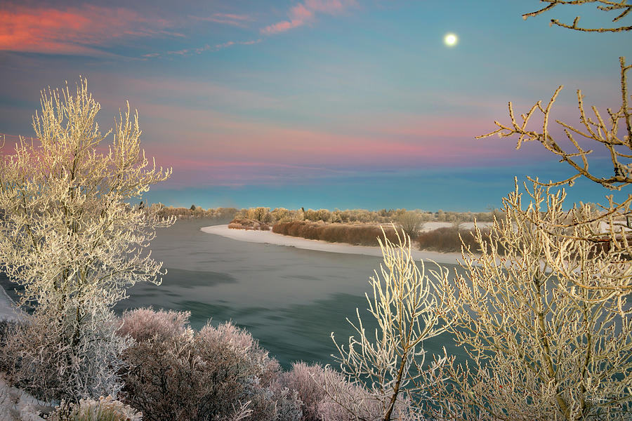 Cool Photograph - Winter Frost and Color by Leland D Howard