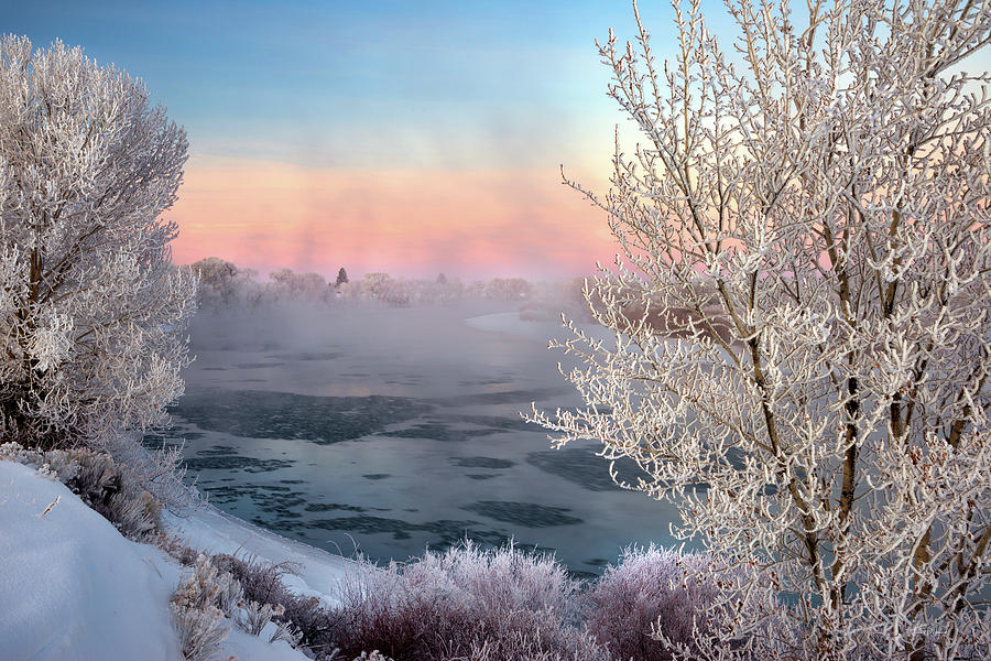 Winter Frost and Mist Photograph by Leland D Howard