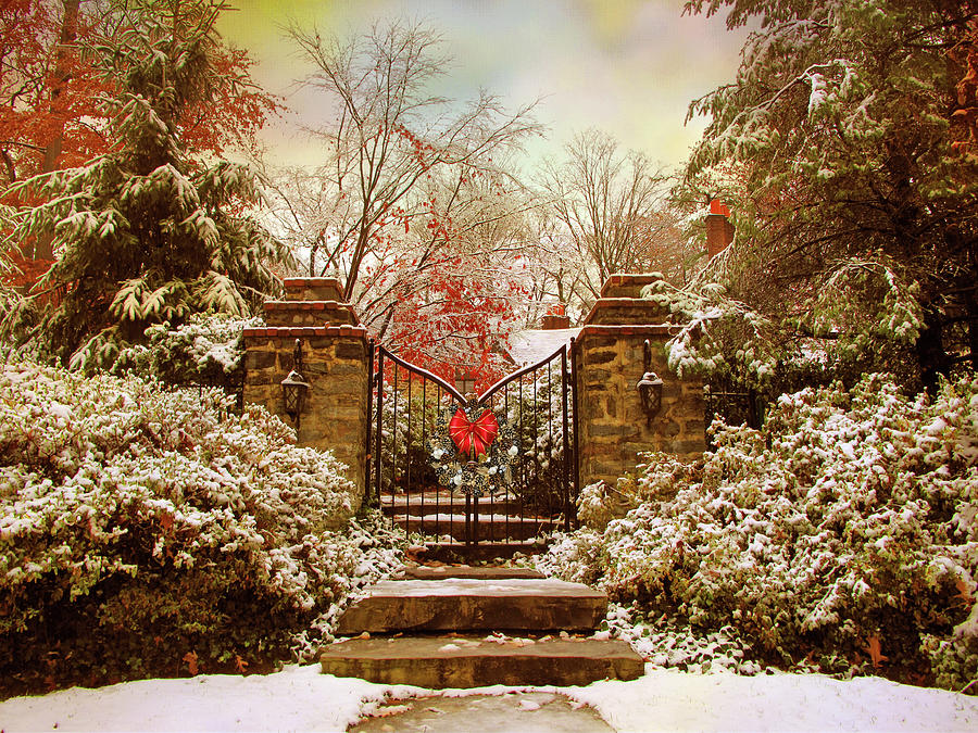 Winter Gates Photograph by Jessica Jenney