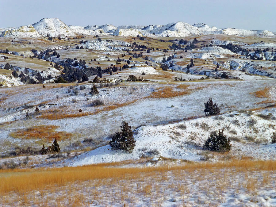 Winter Grasslands Photograph by Cris Fulton