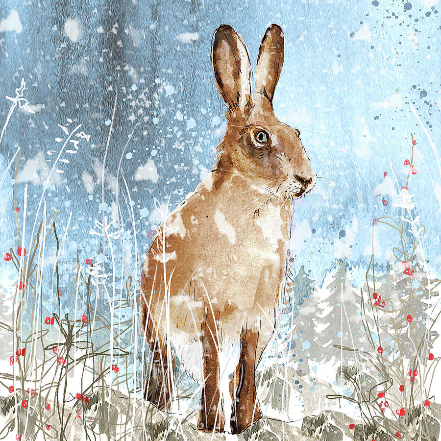 Rabbit Painting - Winter Hare by Clare Davis London