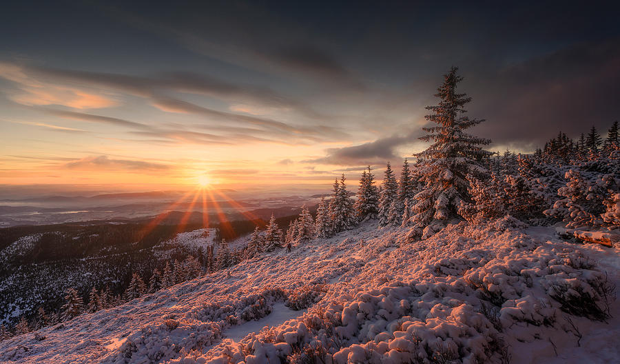 Winter Has Begun Photograph by Tomasz Rojek