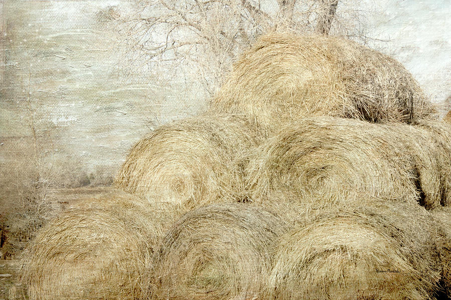 Winter Hay Stack by Ramona Murdock Winter Hay Stack by Ramona Murdock