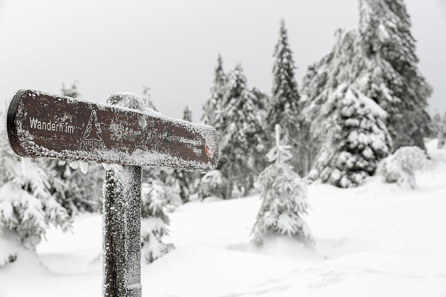 Winter Hiking In The Harz National Park Photograph
