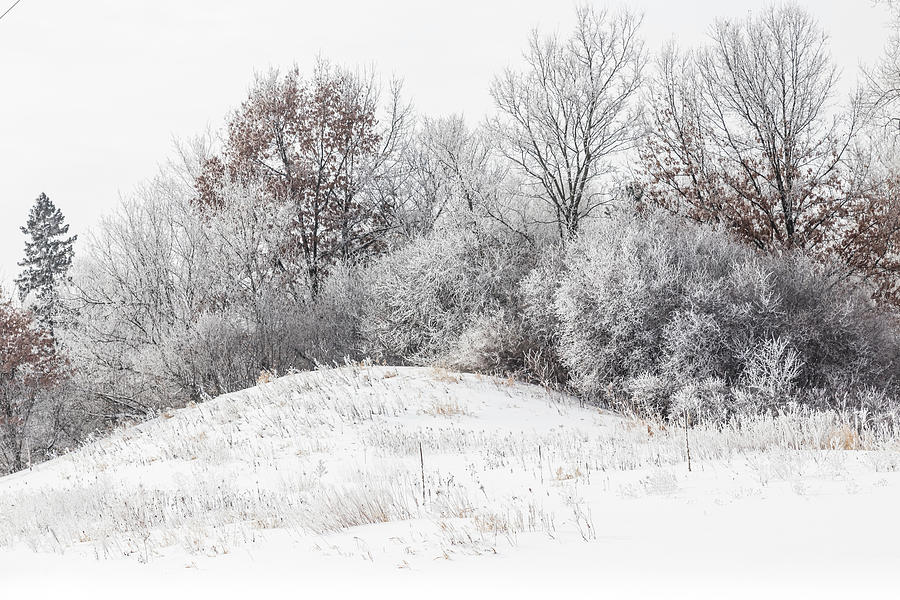 Winter Hills Frosty Snow Photograph by Patti Deters