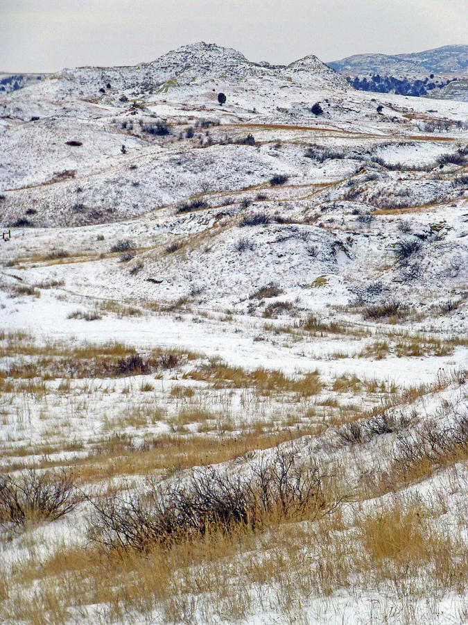 Winter Hills in Dakota West Photograph by Cris Fulton
