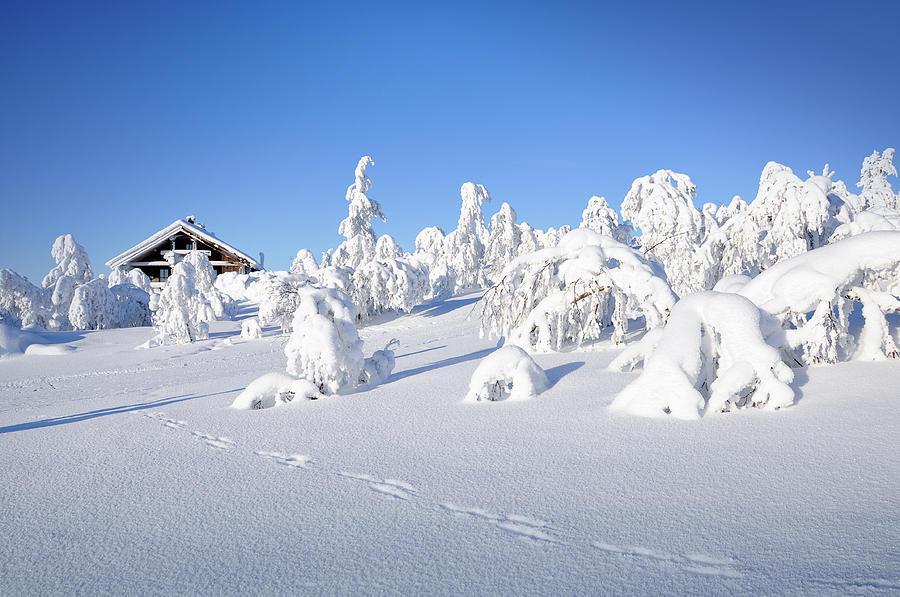 Winter, Hut And Tracks In Snow Covered Photograph by Mableen